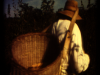 juan_bautista_cosecha-6.png juan_bautista_cosecha-6.png