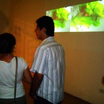 Front Ground / Galerías Manolo Rivero. Mérida, Yucatán.