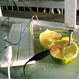 limontrónica electrónica experimental
