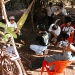 pequeno_ser2-1024x768 pequeno_ser2-1024x768